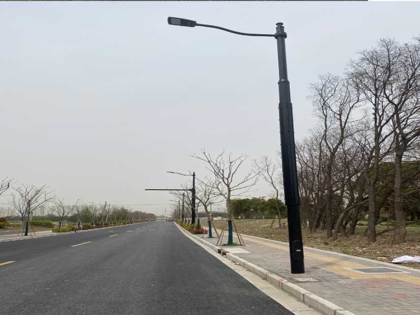 临海市上海综合杆 太阳能路灯工程